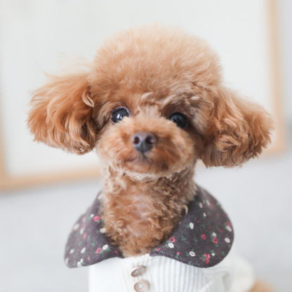 Round Collar Rib Top