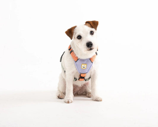 Color Block Harness