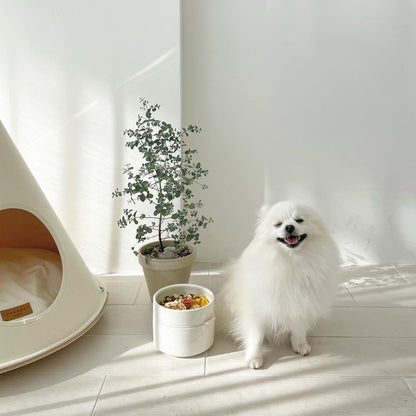 Pudding Bowl