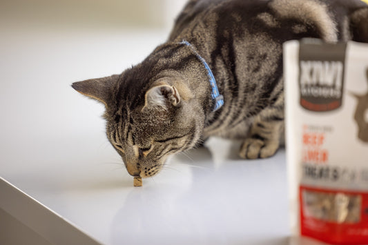 Kiwi Kitchens Raw Freeze Dried Cat Treats - Beef Liver