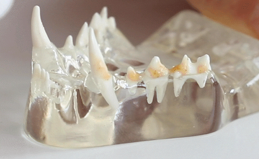 Micro-Fleece Finger Tooth Brush