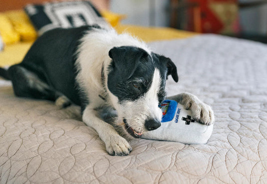 Dog Plush Toy -  90s Classic - Game Bone