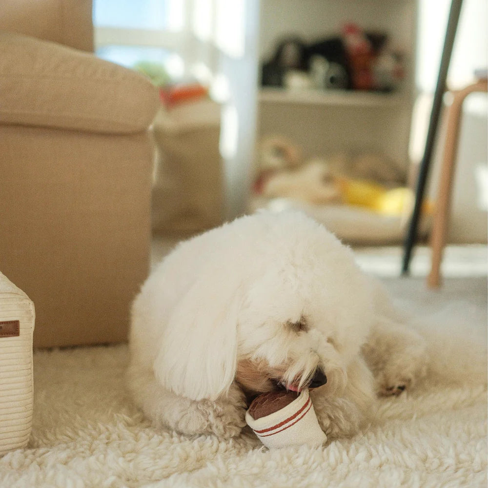Expresso Pop