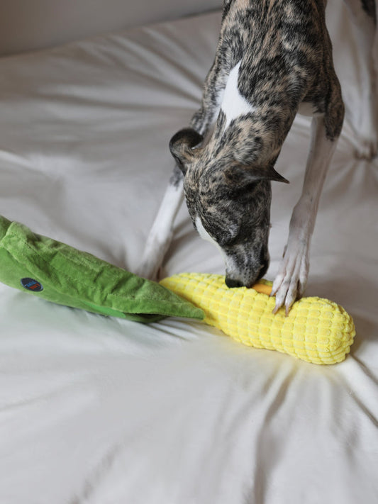 Veggie Snuffle Toy