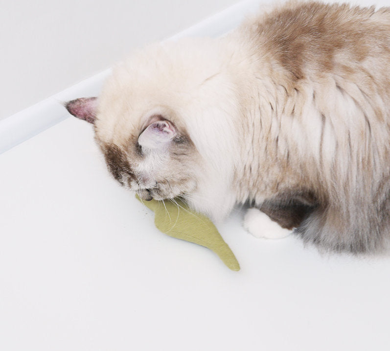 Cat Toy Boa Snake