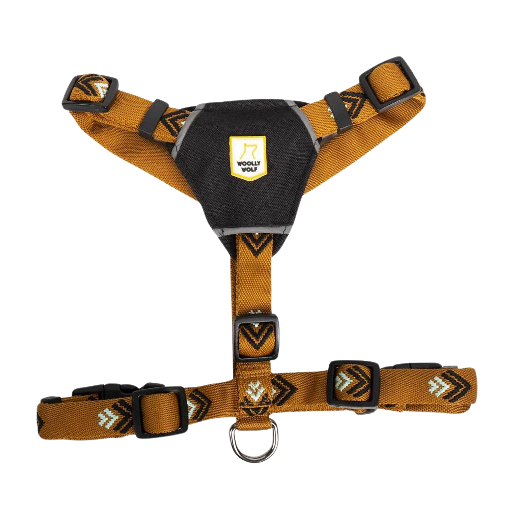 Sea to Summit Harness
