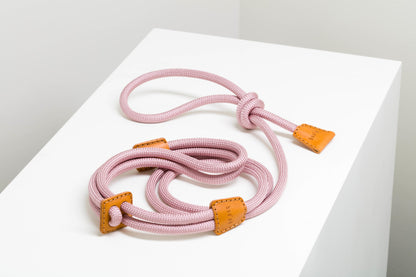 Dog Harness Ray