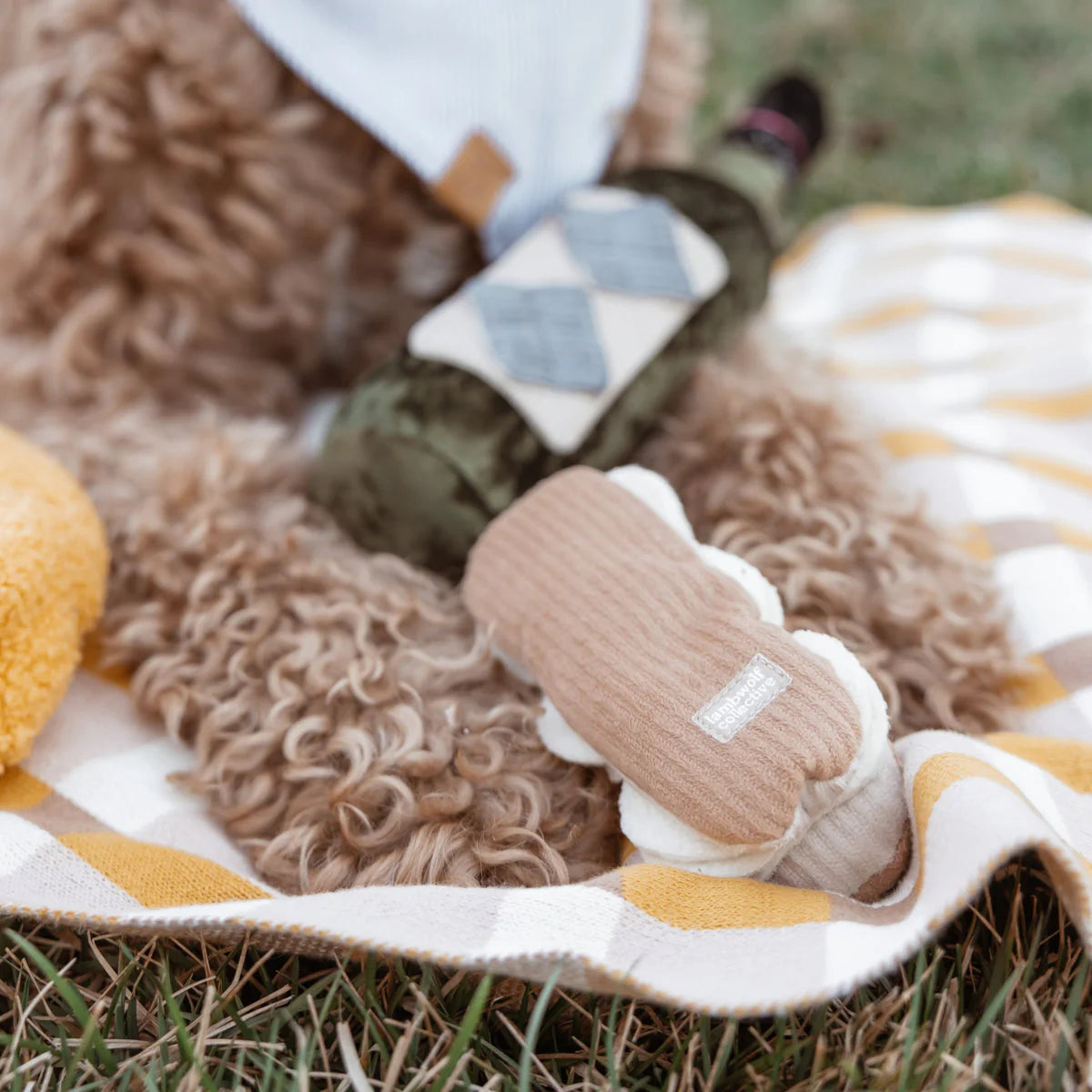 ECLAIR Squeaky + Snuffle Toy
