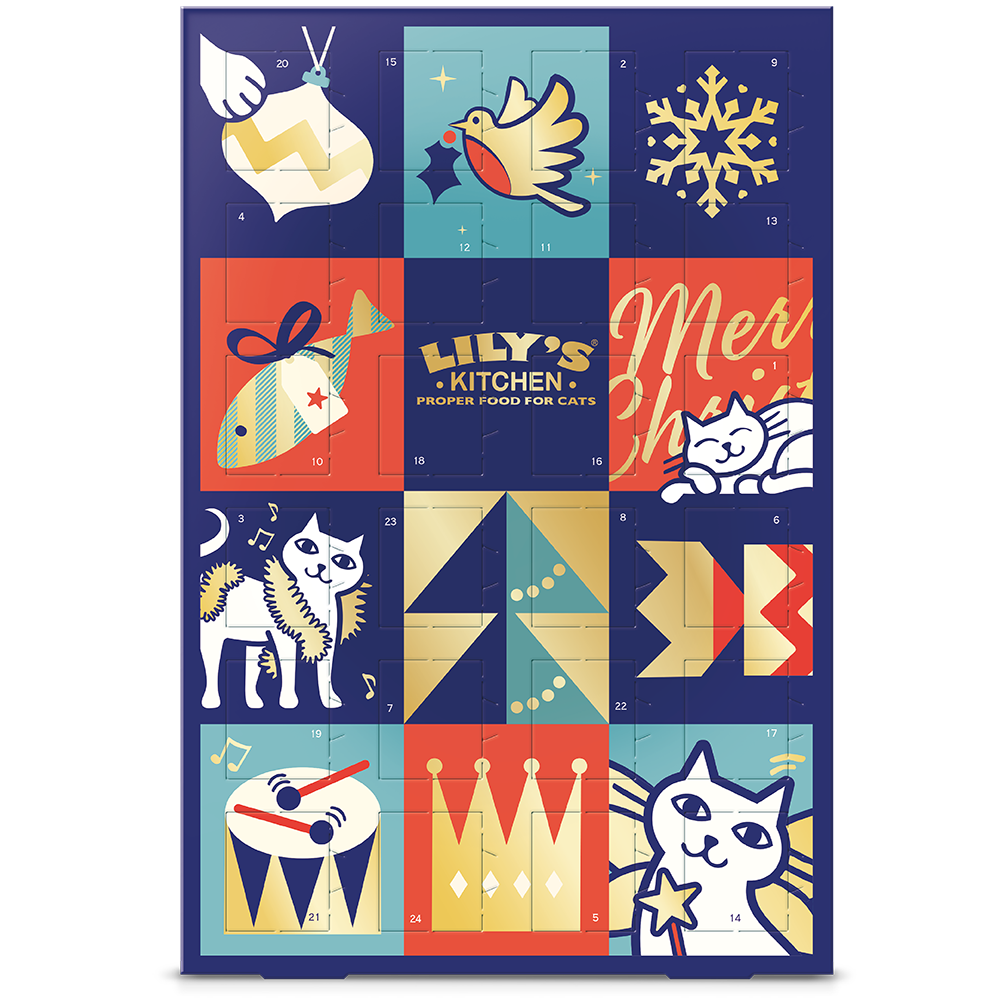 Cat Christmas Calendar