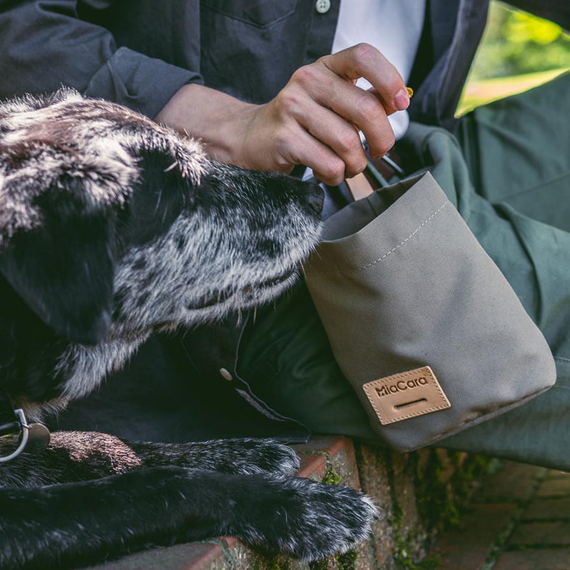 Lupo Snack Bag