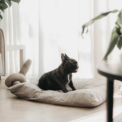 【PRE-ORDER】MAATIN low rise reversible dog bed