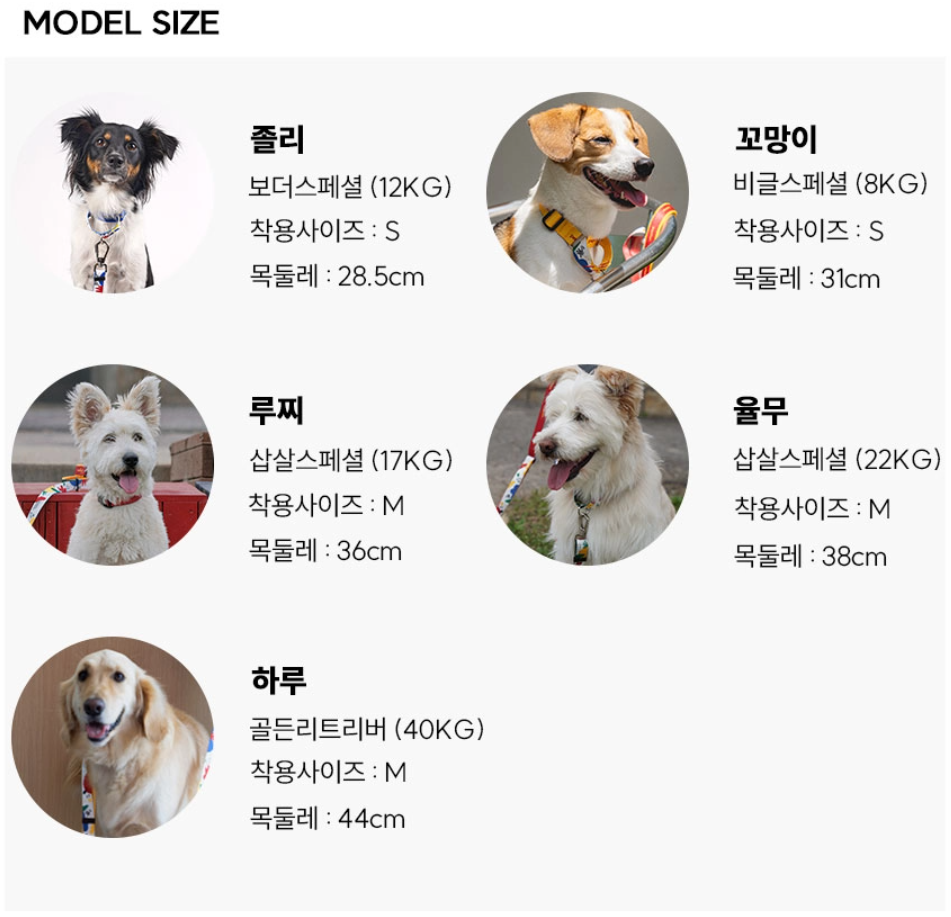 BAU - Martingale Collar