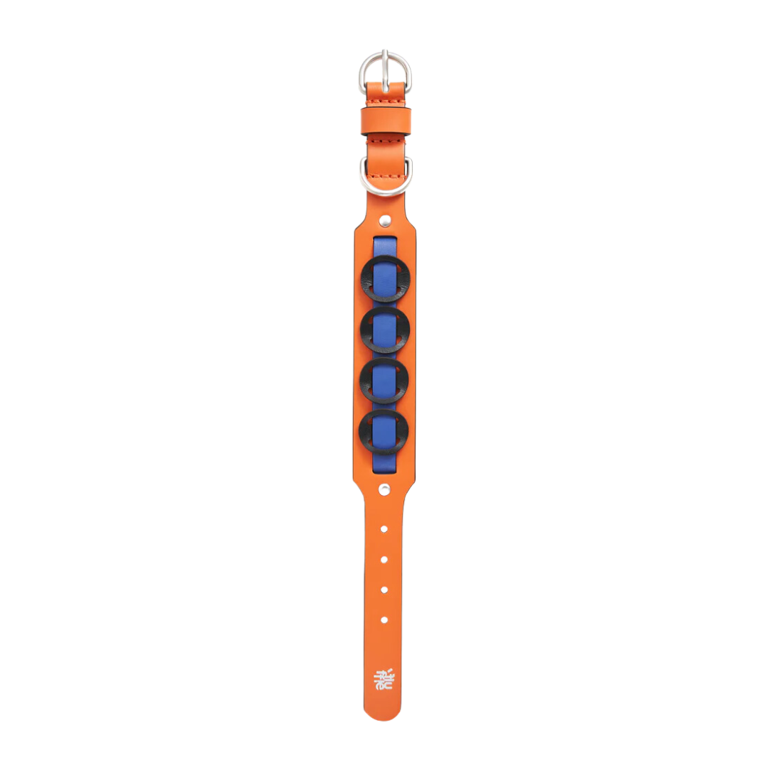 Galicia Dog Collar