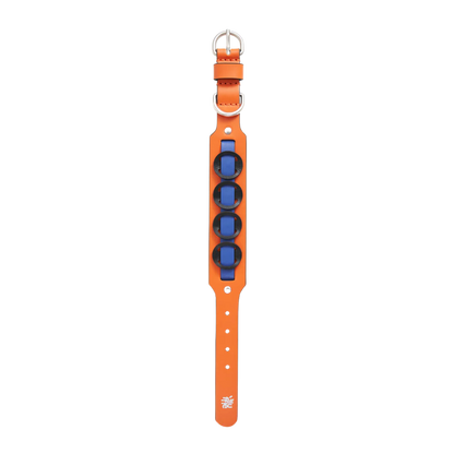 Galicia Dog Collar