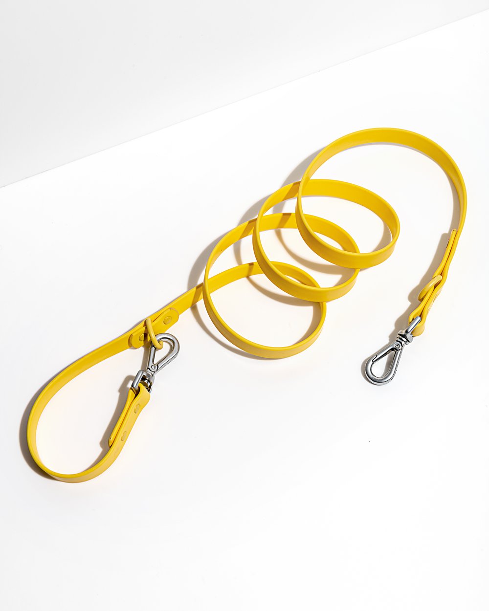 Leash - SALE