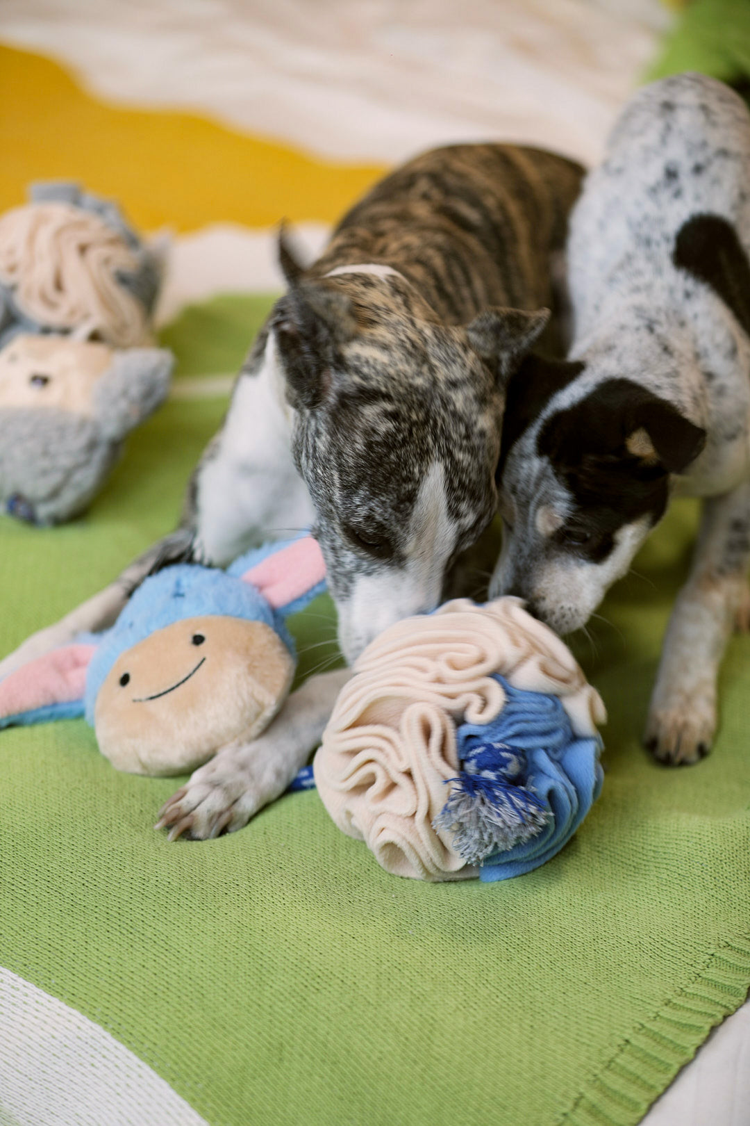 Animal Snuffle Ball Toy