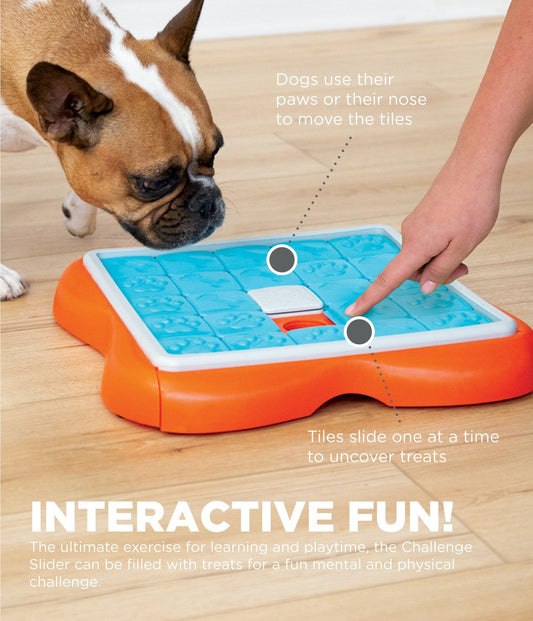 DOG PUZZLE GAME - Challenge Slider