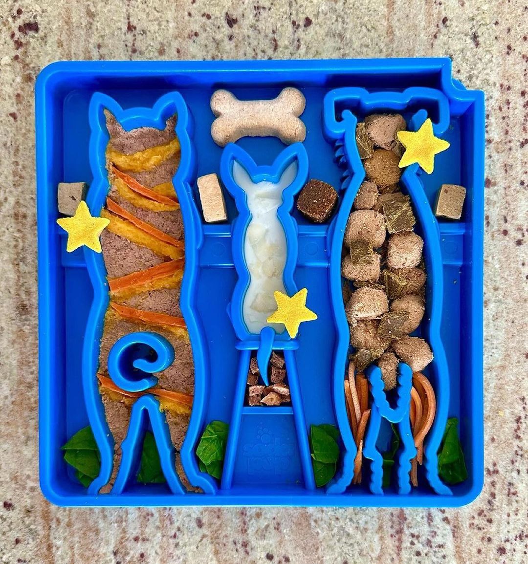SP Waiting Dogs Enrichment Food Tray
