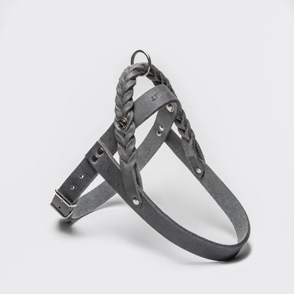 Harness Central Park