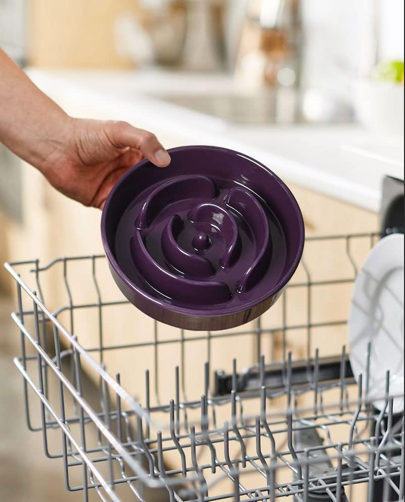 Ceramic Slow Feeder - Purple Maze