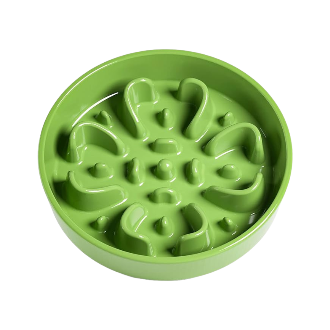 Ceramic Slow Feeder - Green Clover