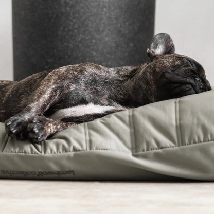 【PRE-ORDER】MAATIN low rise reversible dog bed