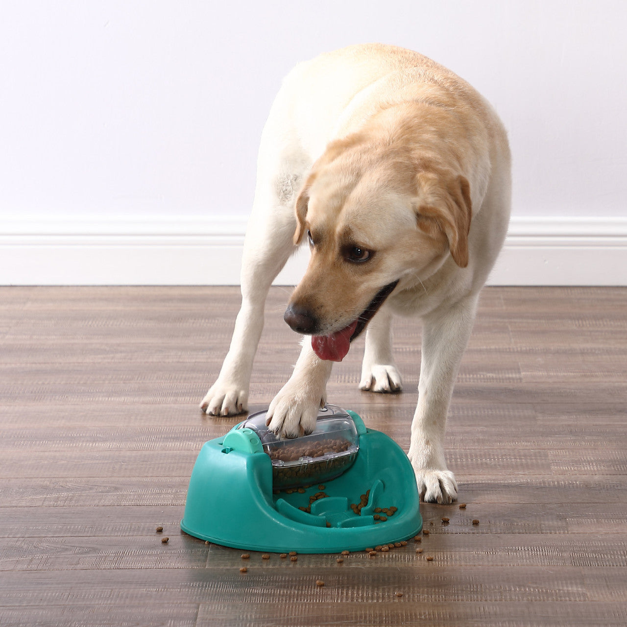 DOG PUZZLE GAME - Dog Spin N' Eat