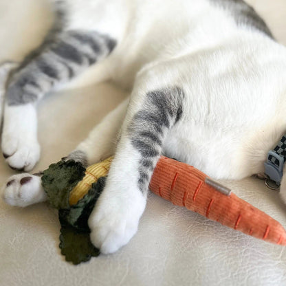 BABY CARROT - cat nips toy