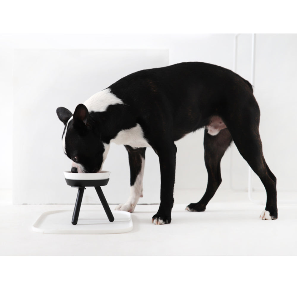 Pet Bowl - Oreo Table