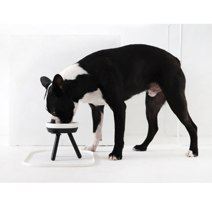 Pet Bowl - Oreo Table