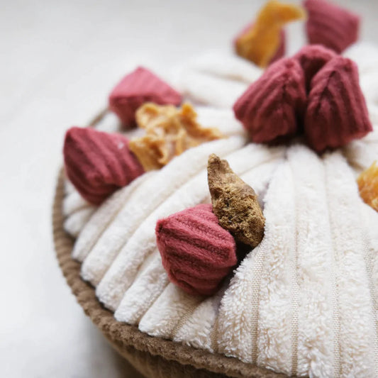 BERRY TART snuffle + squeaky toy