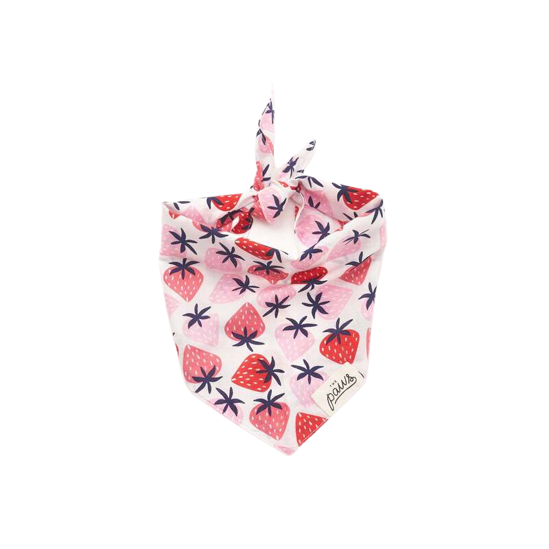 Bandanas - Fresh As