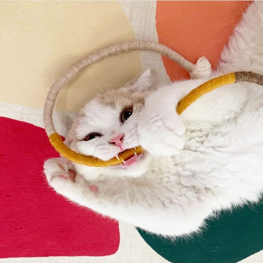 EARTHWORM CATNIP TOY