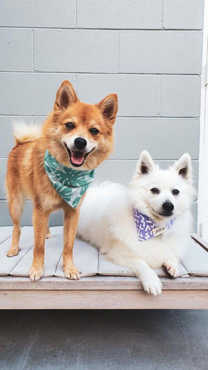 Bandanas - Tropics