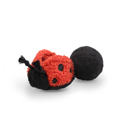 Lady Bug POP