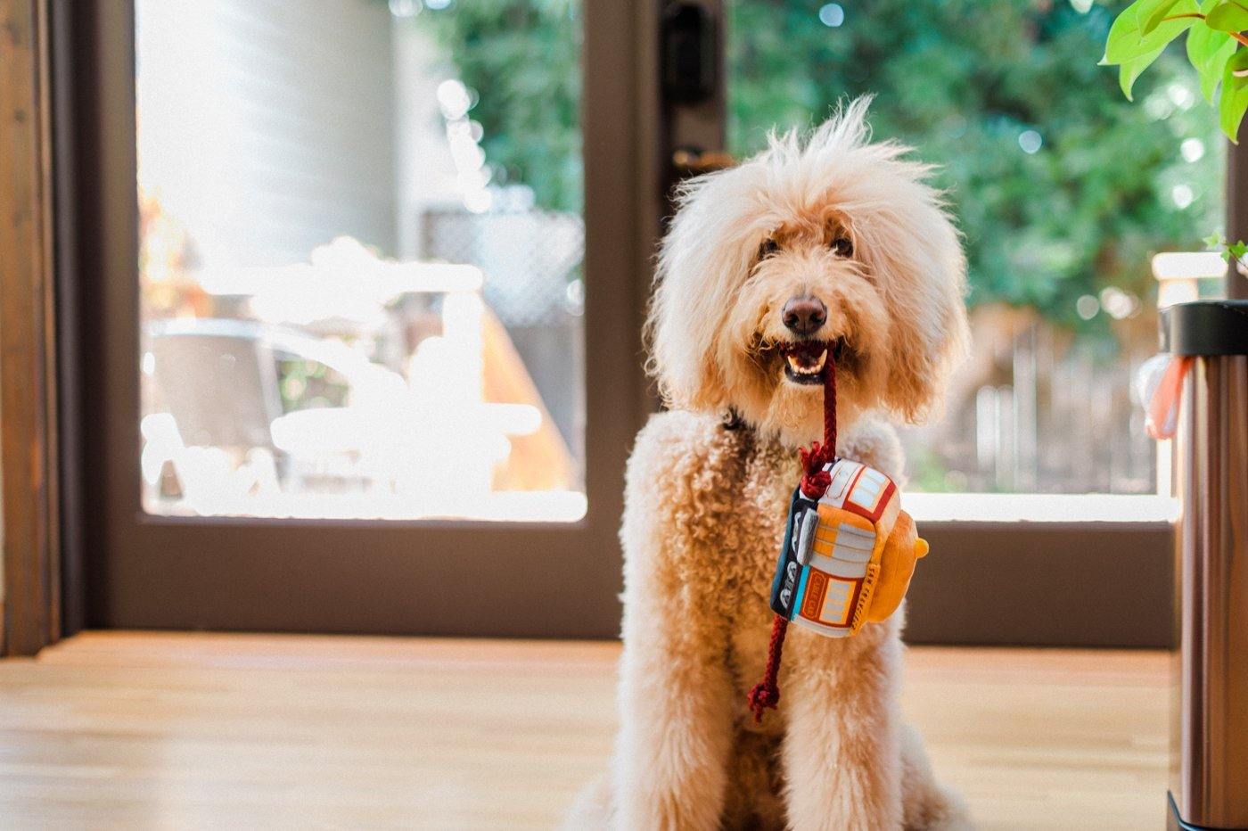 Dog Plush Toy - Canine Commute Collection