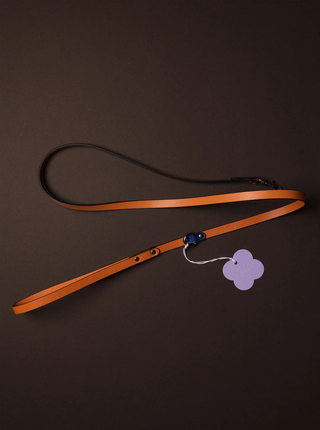 Galicia Dog Leash