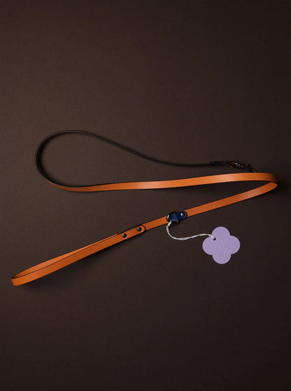 Galicia Dog Leash