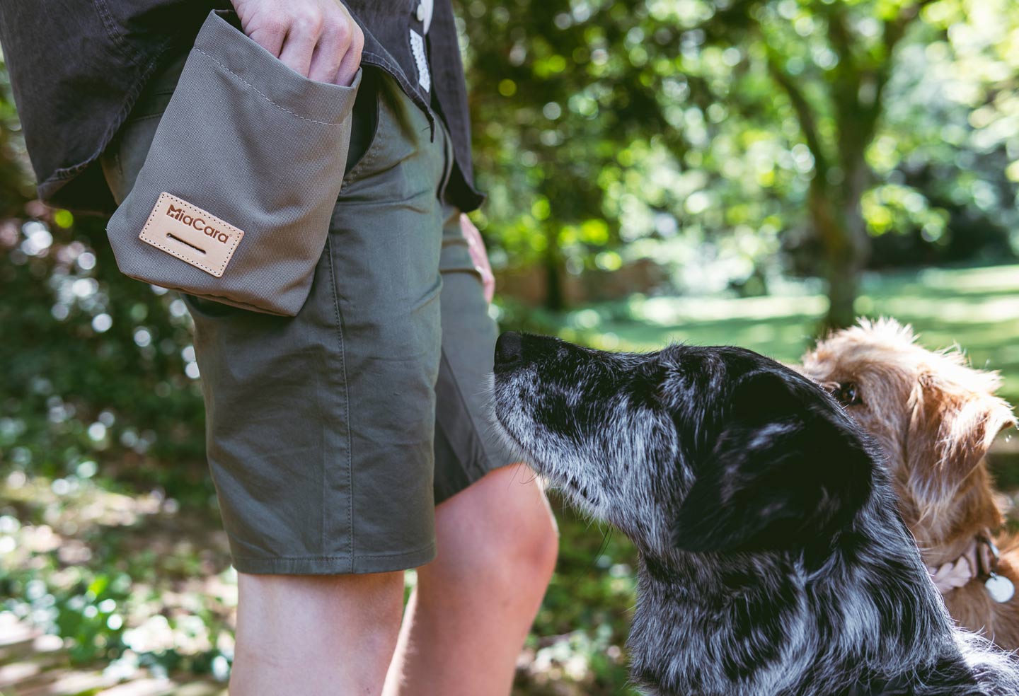 Lupo Snack Bag