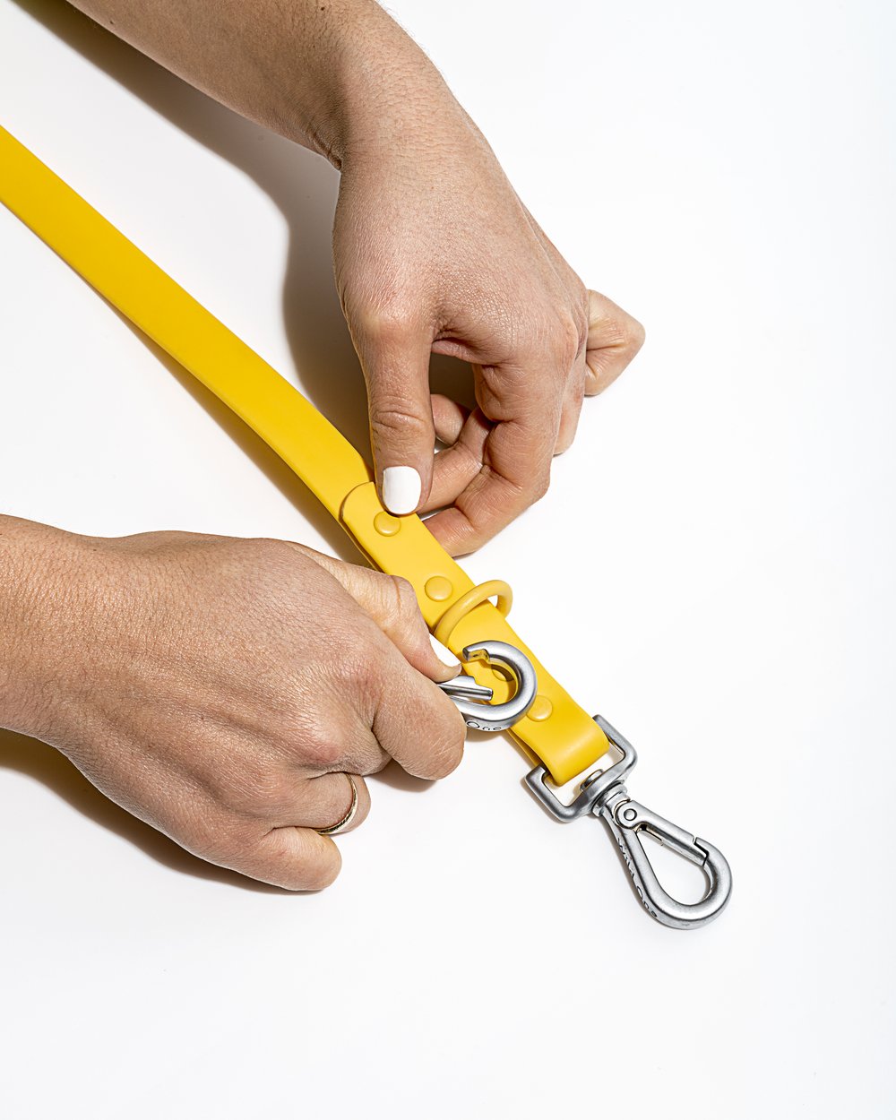 Leash - SALE