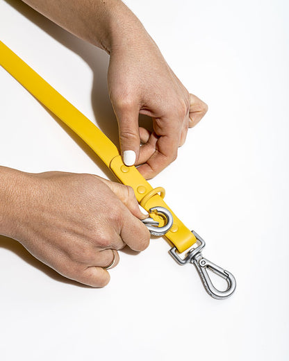 Leash - SALE