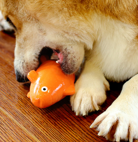 Carrot Fish Latex Dog Toy