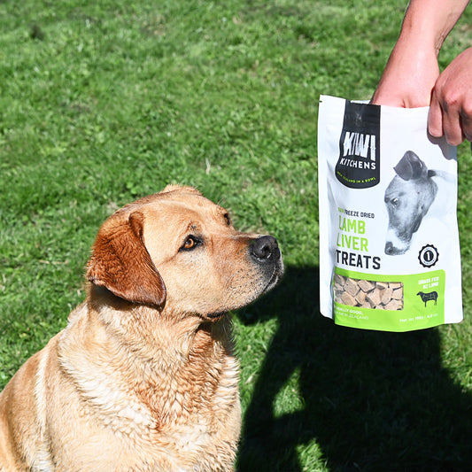 Kiwi Kitchens Raw Freeze Dried Dog Treats - Lamb Liver
