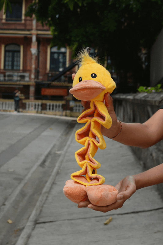 Zigzag Duck