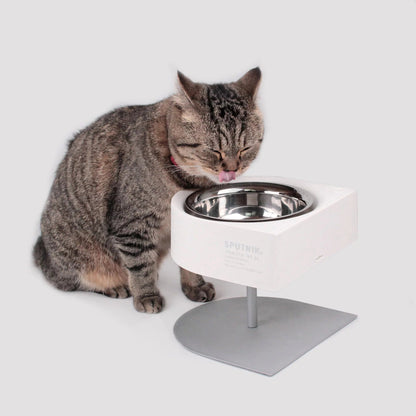 NON-ANTS Bowl (High)