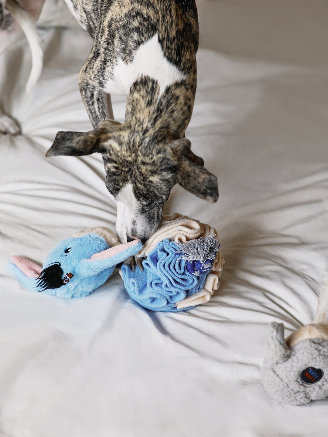 Animal Snuffle Ball Toy