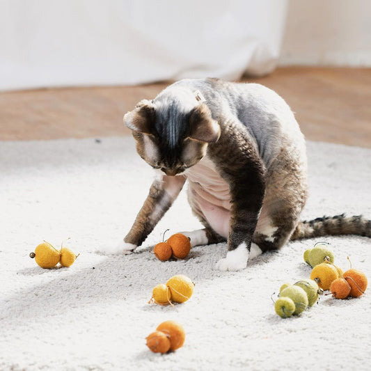 LADYBUGS CAT TOY (A SET OF 3)