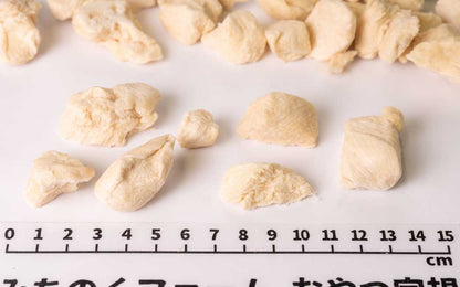 Freeze Dried Japanese Chicken Fillet 60g