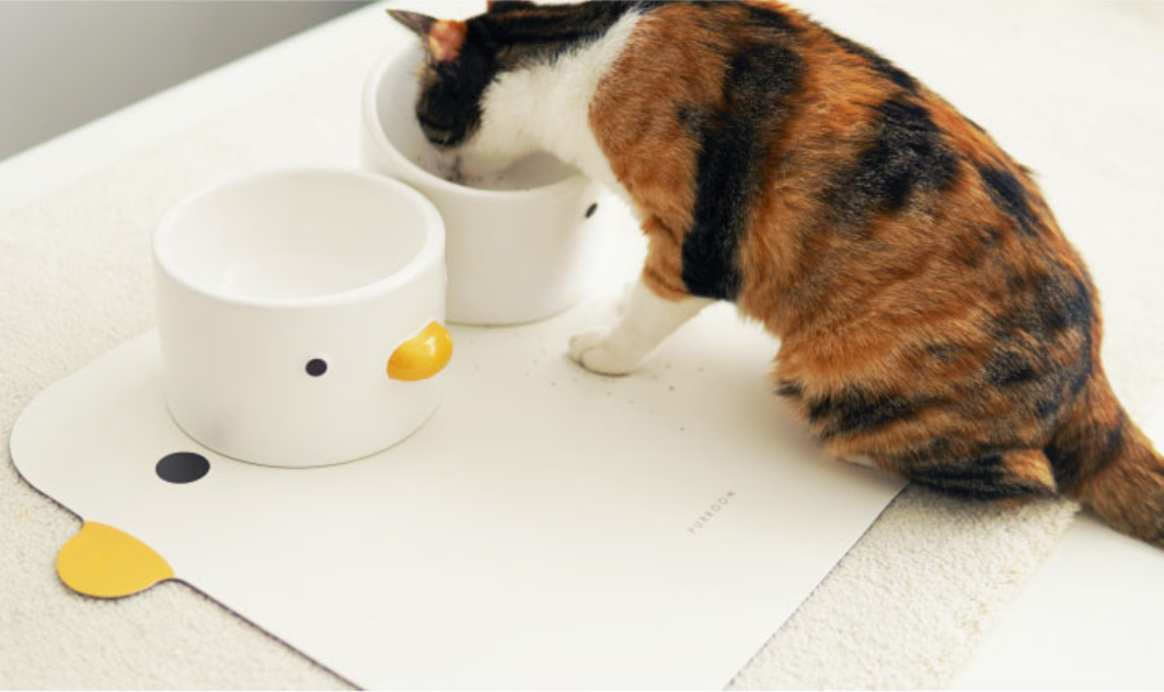Little Chick Placemat