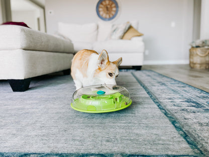 DOG PUZZLE GAME - Wobble Bowl